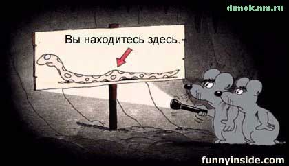 Нажмите для перехода к следующей картинке