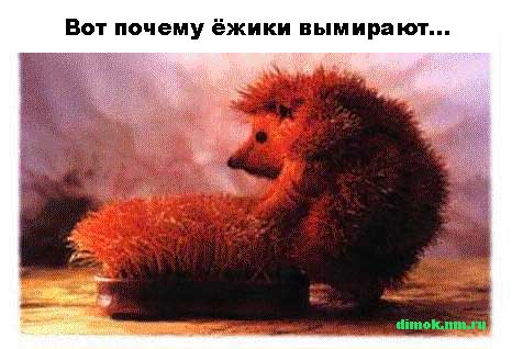 Нажмите для перехода к следующей картинке