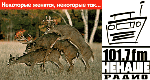 Нажмите для перехода к следующей картинке
