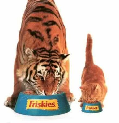 Нажмите для перехода к следующей картинке