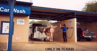 Нажмите для перехода к следующей картинке