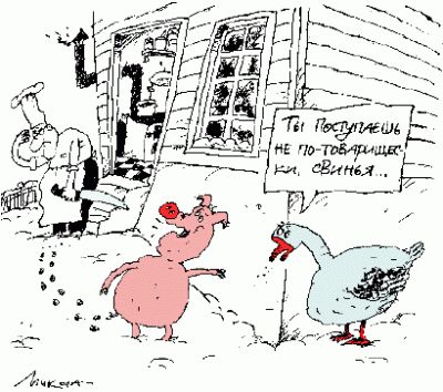 Нажмите для перехода к следующей картинке