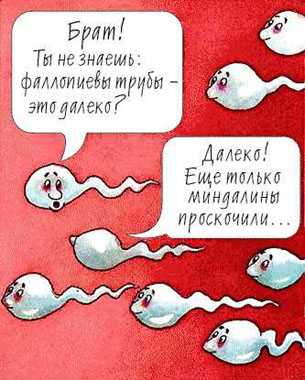 Проскочили миндалины
Нажмите для перехода к следующей картинке