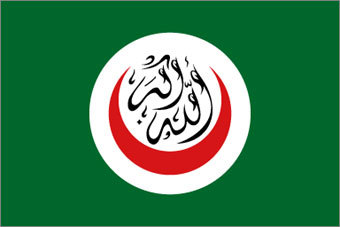    ,    flagfocus.info