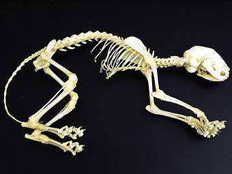  .    biology.ualberta.ca